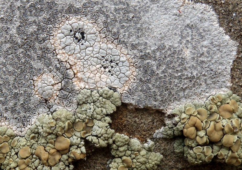 sull''arenaria della Laga 2